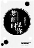梦醒时见你笔趣阁