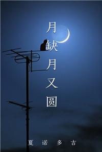 月缺月又圆txt