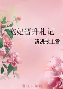 宠妃晋升札记好看吗