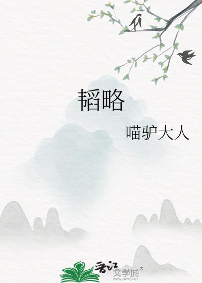 韬略满满的意思