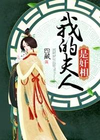 我的夫人百科
