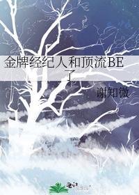 金牌经纪人和顶流be了免费阅读笔趣阁