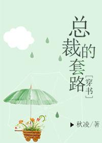 套路总裁的101种方法