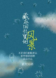 藏在回忆里的风景电视