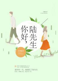 你好 陆先生