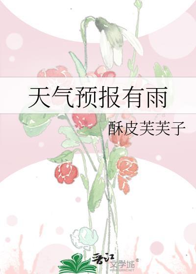 天气预报有雨百度