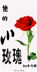 他的小玫瑰晋江