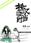 撩汉全集