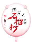 沈大人家的石榴树全文免费阅读无防盗章节