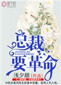 总裁的二婚宠妻