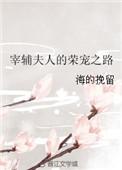 宰辅夫人的荣宠之路TXT全文最新