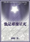 他是璀璨星光TXT全文阅读