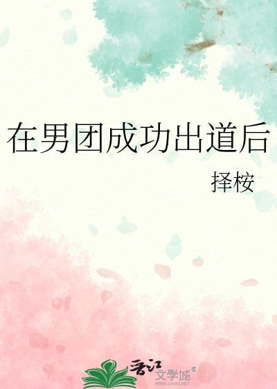 在男团成功出道后番外txt