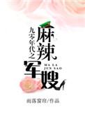 九零年代之麻辣军嫂完整版