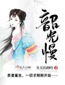 冬天的柳叶的全部