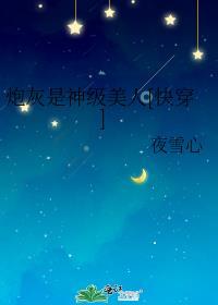 时间暂停以后我为所欲为简介