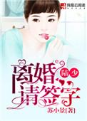 离婚请签字 作者乔安好陆子熠