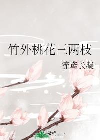 竹外桃花三两枝春江水暖鸭先知是哪首诗