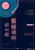 好一粒暴躁情种 好看吗