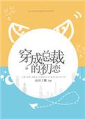 穿成总裁的初恋晋江文学城