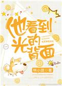 他看到光的背面 林小珑