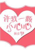 许我一颗小心心全文免费