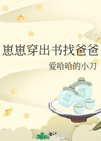 崽崽穿出书找爸爸作者爱哈哈的小刀