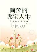 阿蓉的鉴宝人生全文免费阅读