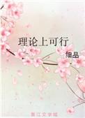 理论上可行讲了什么