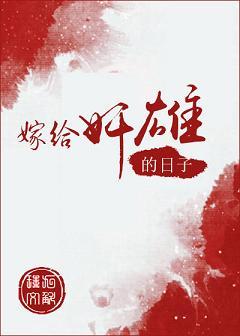 嫁给奸雄的日子讲的什么故事
