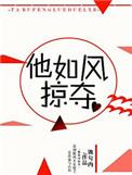 他如风掠夺百度