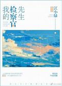我的检察官先生 江小绿晋江