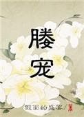 媵宠无弹窗免费阅读