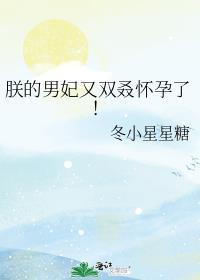 朕的男妃又双叒怀孕了讲什么