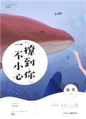 一不小心撩到你电视剧