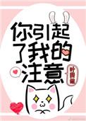 你引起了我的注意TXT