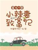 重生八零小辣妻的致富经全文阅读