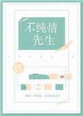不纯情先生txt