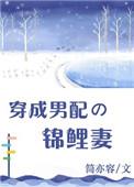 穿成男配锦鲤妻全文阅读