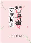穿成反派替身妻阅读