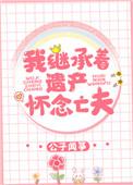 我继承着遗产怀念亡夫txt