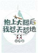 抱上大腿后我成功上位