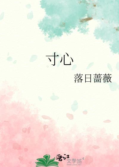 寸心千里什么意思