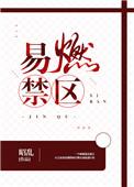 易燃禁区全文在线阅读