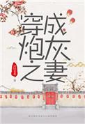 穿越成炮灰之妻穿书