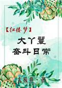 红楼大丫鬟的奋斗日常