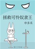 拯救可怜奴隶王在线阅读