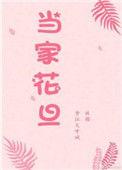 华谊当家花旦