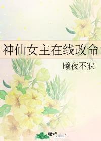 神仙女主在线改命作者曦夜不寐