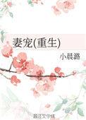 妻宠(重生)全文免费阅读